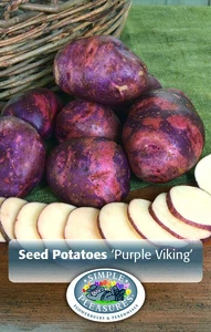 Potatoes Purple Viking | Capper 5 x 16