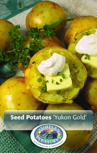 Potatoes Yukon Gold | Capper 5 x 16