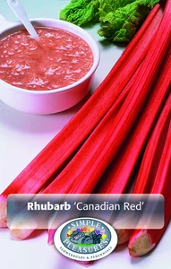 Rhubarb Canadian Red | 16 pce