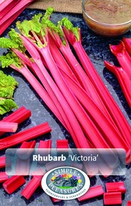 Rhubarb Victoria | 25 pce