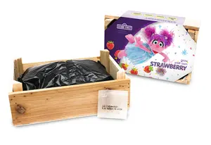 Sesame Street Strawberry Wooden Box Abby Caddaby | Pce 21