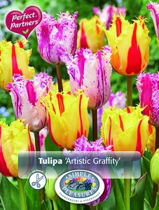 Tulipa Artistic Graffity | Cappers 10 x 20