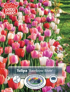 Tulipa Blend Rainbow River | Cappers 12 x 15