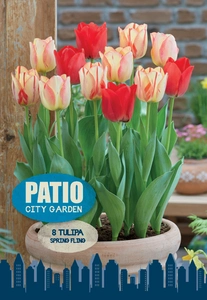 Tulipa Blend Spring Fling | Cappers 8 x 20