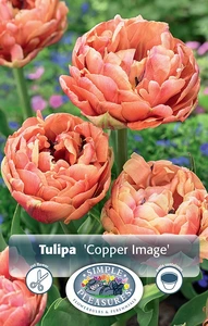 Tulipa Double Late Copper Image | Cappers 5 x 20