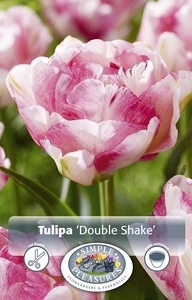 Tulipa Double Late Shake | Cappers 5 x 20