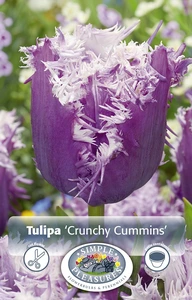 Tulipa Fringed Crunchy Cummins | Cappers 5 x 20