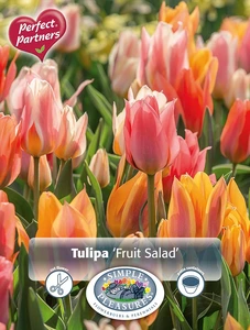 Tulipa Fruit Salad | Cappers 10 x 16