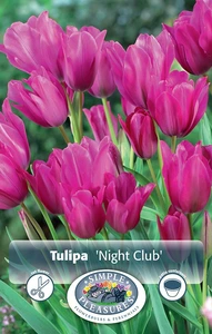 Tulipa Multiflowering (Bouquet) Night Club | Cappers 5 x 20