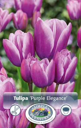 Tulipa Multiflowering (Bouquet) Purple Elegance | Cappers 5 x 20