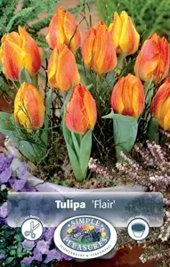 Tulipa Single Early Flair | 80 pce