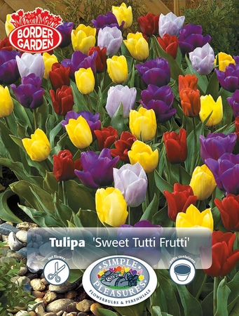 Tulipa Sweet Tutti Frutti | Cappers 10 x 15