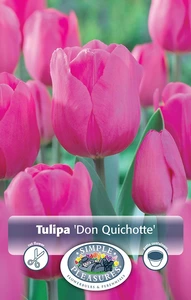 Tulipa Triumph Don Quichotte | Cappers 5 x 20