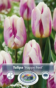 Tulipa Triumph Happy Feet | 80 pce