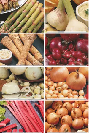 Vegetable Assortment 2x | 128 pce - image 1